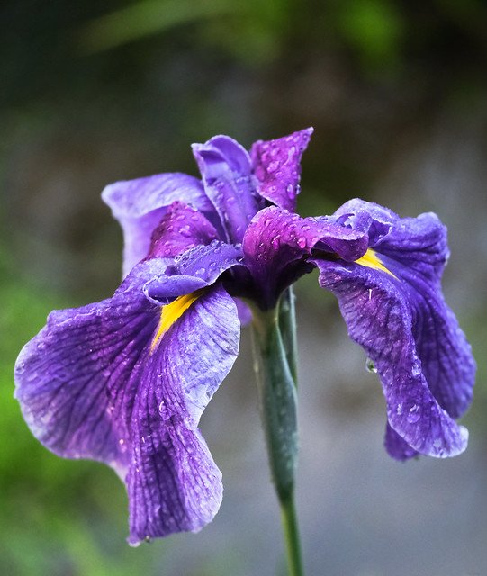 🏺 마와타리 토용 제작 유적(마와타리 하니와 세이사쿠 이세키) 이미지 6